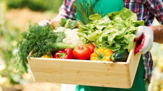 نُنشئ حديقة مختلفة