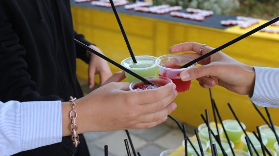 מנה אחת ודי